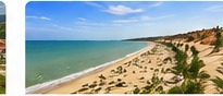 Nhà Xe Vũ Quyên Bình Phước: Đặt Xe Đi Tỉnh Chủ Động, An Toàn